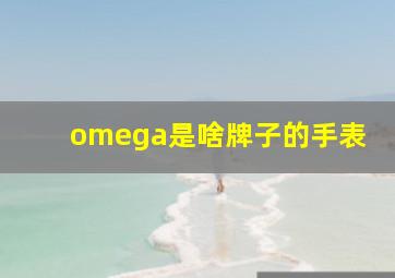 omega是啥牌子的手表