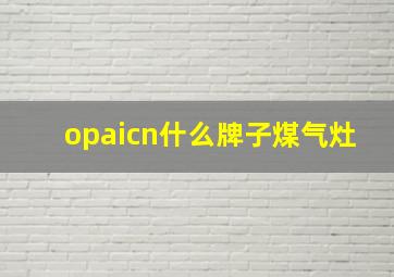 opaicn什么牌子煤气灶