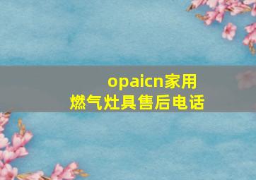 opaicn家用燃气灶具售后电话