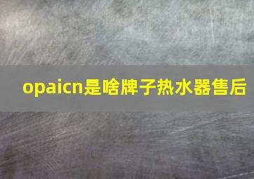 opaicn是啥牌子热水器售后