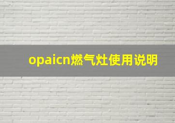 opaicn燃气灶使用说明