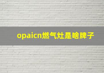 opaicn燃气灶是啥牌子