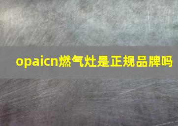 opaicn燃气灶是正规品牌吗