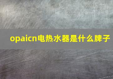 opaicn电热水器是什么牌子