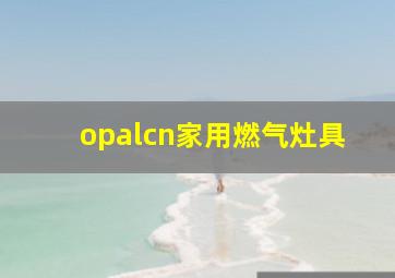 opalcn家用燃气灶具