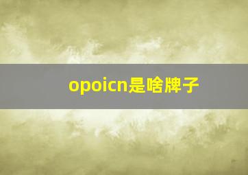 opoicn是啥牌子