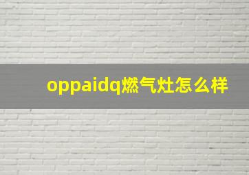 oppaidq燃气灶怎么样