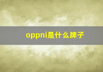 oppni是什么牌子