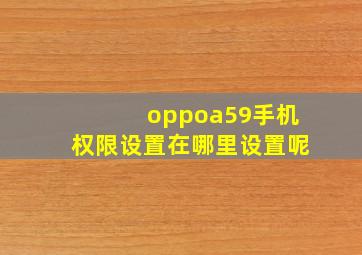 oppoa59手机权限设置在哪里设置呢