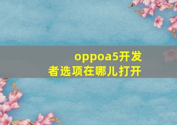 oppoa5开发者选项在哪儿打开