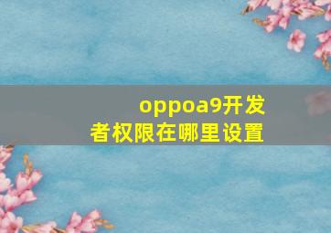 oppoa9开发者权限在哪里设置