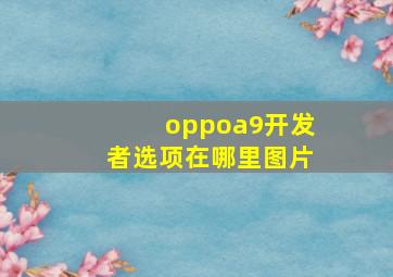 oppoa9开发者选项在哪里图片