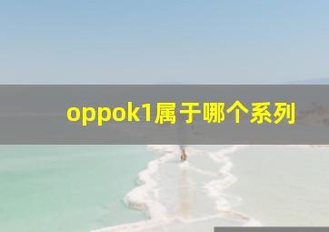 oppok1属于哪个系列