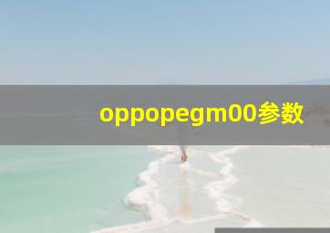 oppopegm00参数