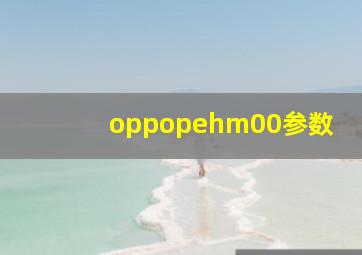 oppopehm00参数