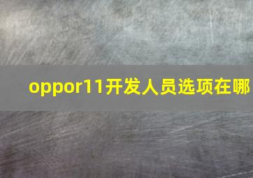 oppor11开发人员选项在哪