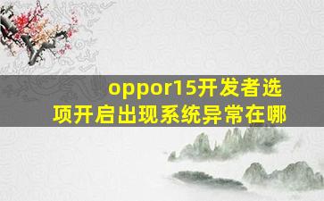 oppor15开发者选项开启出现系统异常在哪