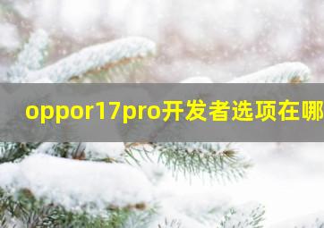 oppor17pro开发者选项在哪里