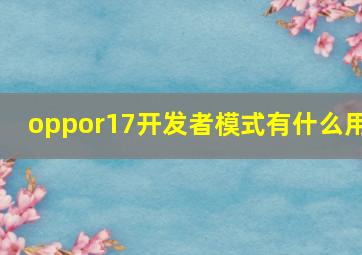 oppor17开发者模式有什么用