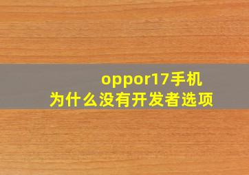 oppor17手机为什么没有开发者选项