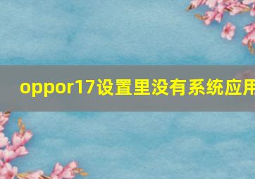 oppor17设置里没有系统应用