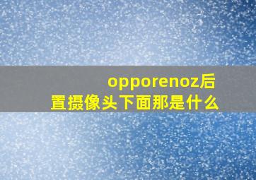 opporenoz后置摄像头下面那是什么