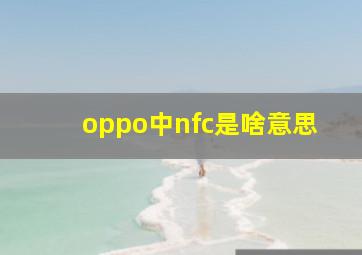 oppo中nfc是啥意思