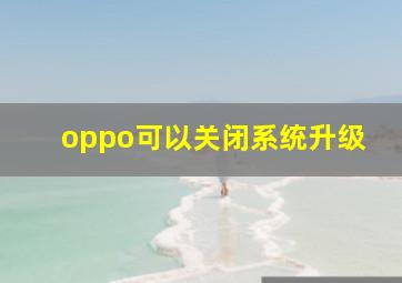 oppo可以关闭系统升级