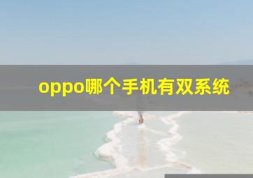 oppo哪个手机有双系统