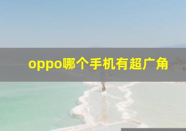 oppo哪个手机有超广角