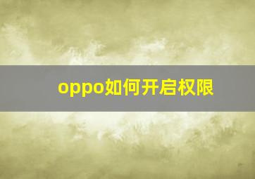 oppo如何开启权限