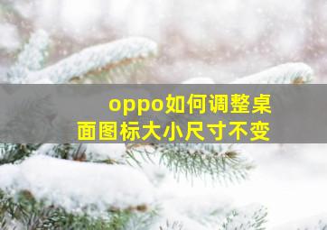 oppo如何调整桌面图标大小尺寸不变