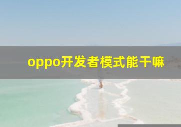 oppo开发者模式能干嘛