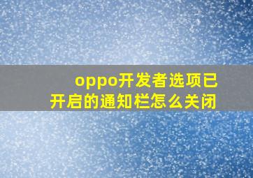 oppo开发者选项已开启的通知栏怎么关闭