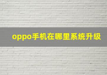 oppo手机在哪里系统升级