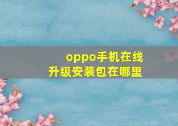 oppo手机在线升级安装包在哪里