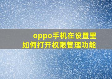 oppo手机在设置里如何打开权限管理功能