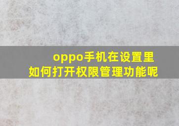 oppo手机在设置里如何打开权限管理功能呢