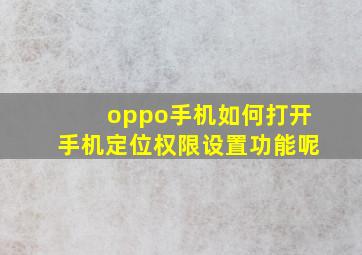 oppo手机如何打开手机定位权限设置功能呢