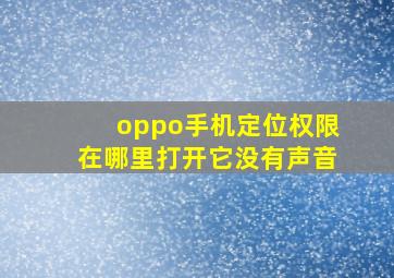 oppo手机定位权限在哪里打开它没有声音