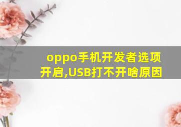 oppo手机开发者选项开启,USB打不开啥原因