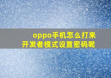 oppo手机怎么打来开发者模式设置密码呢