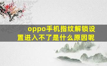 oppo手机指纹解锁设置进入不了是什么原因呢