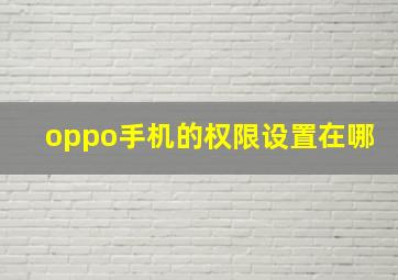 oppo手机的权限设置在哪