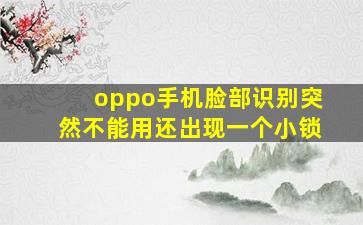 oppo手机脸部识别突然不能用还出现一个小锁