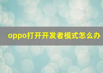 oppo打开开发者模式怎么办