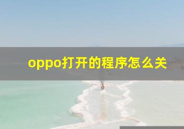 oppo打开的程序怎么关