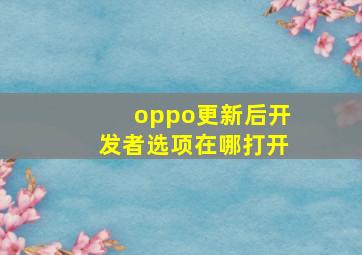 oppo更新后开发者选项在哪打开