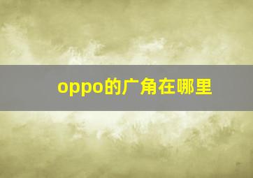 oppo的广角在哪里