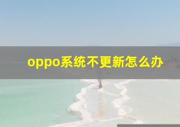 oppo系统不更新怎么办